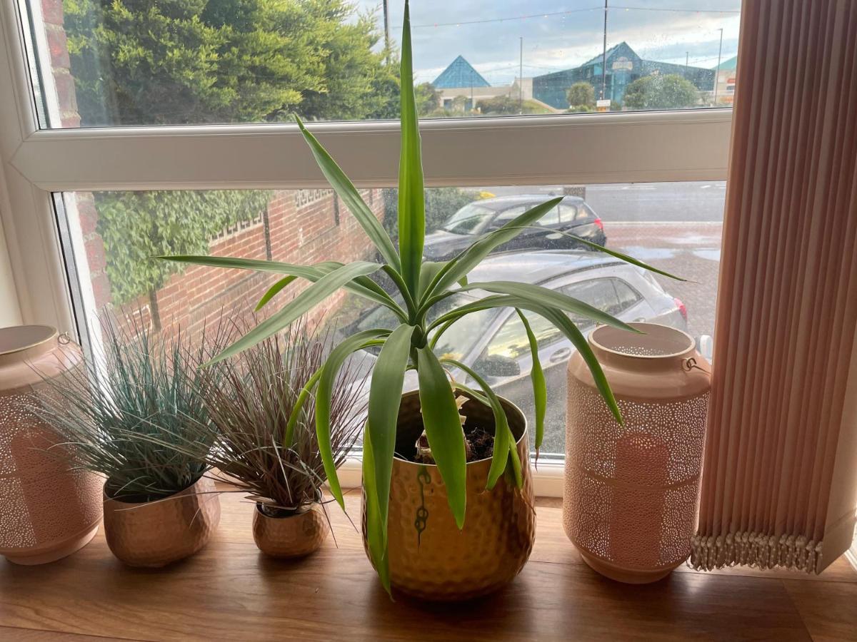 Southsea Retreat公寓 外观 照片